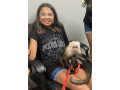 capuchin-monkeys-for-adoption-small-1