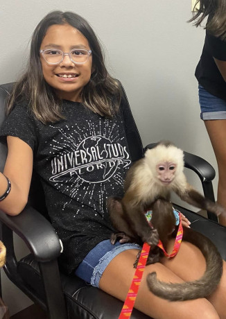 capuchin-monkeys-for-adoption-big-1