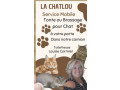 tonte-pour-chat-small-1