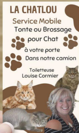 tonte-pour-chat-big-1