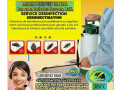 services-3d-deratisation-desinsectisation-desinfection-dans-le-domaine-sanitaire-pest-control-small-1