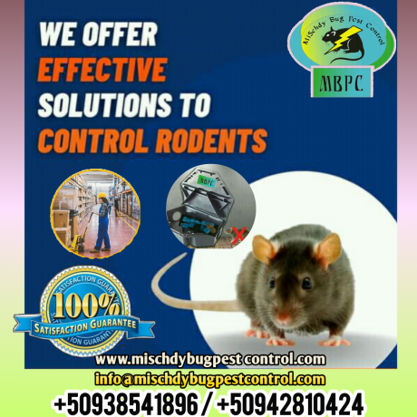 services-3d-deratisation-desinsectisation-desinfection-dans-le-domaine-sanitaire-pest-control-big-0