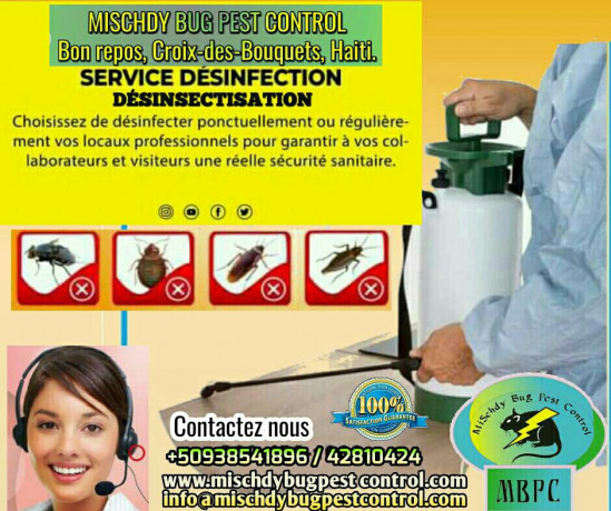 services-3d-deratisation-desinsectisation-desinfection-dans-le-domaine-sanitaire-pest-control-big-1
