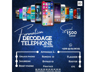 Formation sur le décodage de téléphone