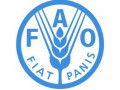 recrutement-fao-canada-offre-n-0049faoca-cic-20232024-small-0