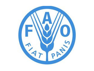 RECRUTEMENT FAO CANADA : Offre n 0049/FAO/CA-CIC-2023/2024