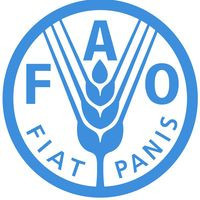 recrutement-fao-canada-offre-n-0049faoca-cic-20232024-big-0