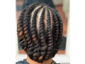 coiffures-afro-superbes-tresses-small-2