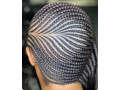 coiffures-afro-superbes-tresses-small-4