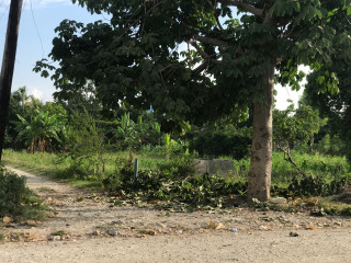 Un terrain de 6 centiemes a vendre au centre ville de Leogane